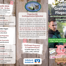 Greifvogel_Flyer_Ferkesmarkt 2024NEU_korr_low-1